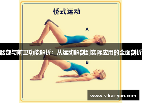 腰部与前卫功能解析：从运动解剖到实际应用的全面剖析
