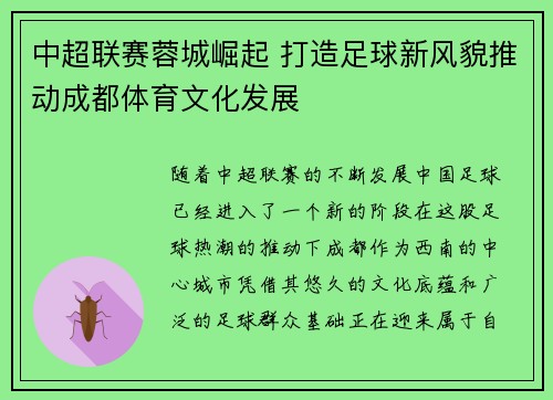 中超联赛蓉城崛起 打造足球新风貌推动成都体育文化发展