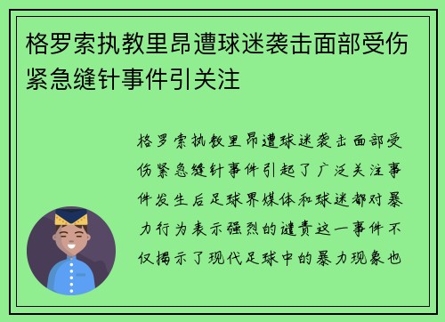 格罗索执教里昂遭球迷袭击面部受伤紧急缝针事件引关注 格罗索执教里昂遭球迷袭击面部受伤紧急缝针事件引关注